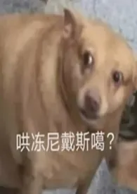 《韩娱 路过的狗看了都知道谁是老攻》2024最新章节 韩娱 路过的狗看了都知道谁是老攻免费阅读