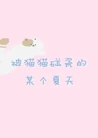 1970全新版本《『仁王雅治』被猫猫碰瓷的某个夏天》 系青作品完结免费阅读