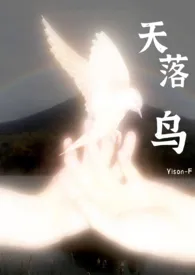 Yision著作《天落鸟(1v3)》小说全文阅读