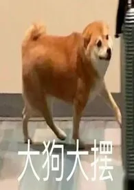 BTS:出道还包分配老公?小说完结版免费阅读(作者:诺贝尔万人迷文学奖获得者)