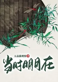 当时明月在小说完结版免费阅读(作者:五品猫观察)