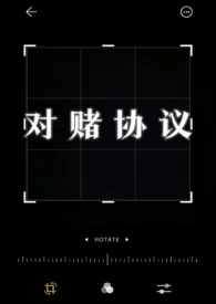 《对赌协议(NP)》1970版小说全集 Richeese完本作品