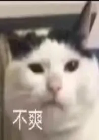 玫瑰之死1970全章节阅读 玫瑰之死小说免费阅读