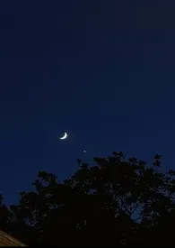 她们的生活1970全章节阅读 她们的生活小说免费阅读