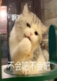 1970全新版本《我的“太太”不能断更!》 年糕酿媛子作品完结免费阅读