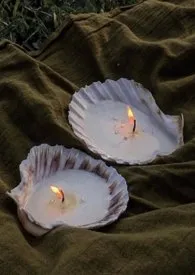 暗夜滋长1970全章节阅读 暗夜滋长小说免费阅读