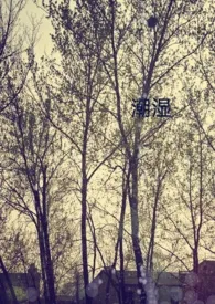 《潮湿gl(纯百)》1970版小说全集 maya完本作品