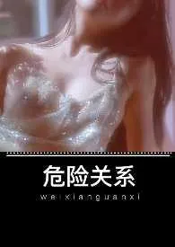 《危险关系(高H )》小说在线阅读 暖暖作品