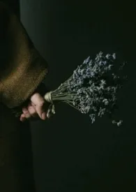 晓晓著作《柔软的她(重生1v1)》小说全文阅读