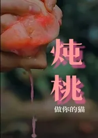 炖桃(H.1V1)作者:做你的猫 全本免费阅读