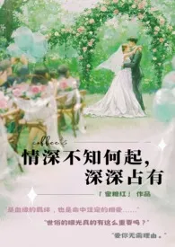 情深不知何起,深深占有作者:蜜糖红 全本免费阅读