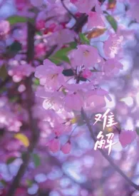 三日蝶著作《难解（骨科×1v2）》小说全文阅读