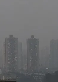 小熊宾馆小说完结版免费阅读(作者:自闭勿扰)