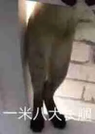 《在平行空间里不断挨操( NP 高H )》小说在线阅读 暖暖作品