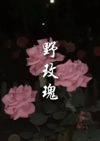 《野玫瑰》1970最新章节 野玫瑰免费阅读
