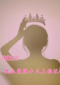 小写-时情著作《2022,史上最强小三上位记》小说全文阅读
