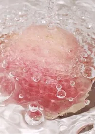 雨后(年下骨科)1970全章节阅读 雨后(年下骨科)小说免费阅读