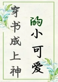 穿书成上神的小迷妹(h版)小说完结版免费阅读(作者:河尔尔)