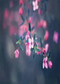 继母求死,总是被肏(NP\\高H)作者:五妖花 全本免费阅读