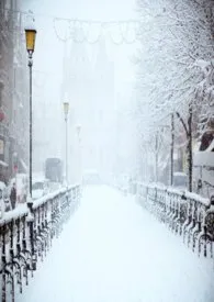 融雪(母女)作者:我真的很喜欢吃法棍 全本免费阅读