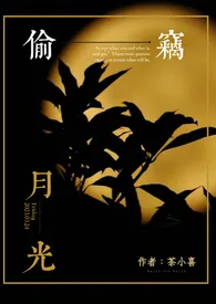 《偷窃月光(百合ABO)》小说在线阅读 茶小喜作品