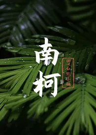 南柯(现言,年上,1V1)小说完结版免费阅读(作者:白熊小姐)