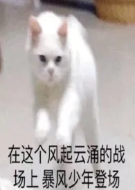 C位小说完结版免费阅读(作者:周六不更)