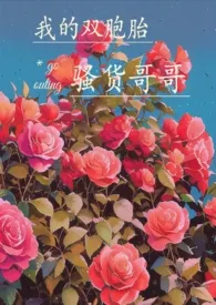 卿辞著作《【GB】我的双胞胎骚货哥哥(高h)》小说全文阅读