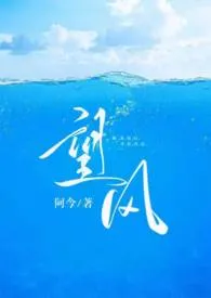 望风小说完结版免费阅读(作者:阿今)