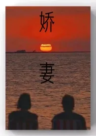 娇妻1970全章节阅读 娇妻小说免费阅读