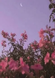 《爆炒大师【快穿】H》1970最新章节 爆炒大师【快穿】H免费阅读