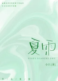 夏雨(骨科/兄妹)2024全章节阅读 夏雨(骨科/兄妹)小说免费阅读