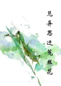 见异思迁菟丝花(末世)作者:存在 全本免费阅读