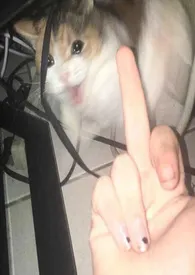 讨厌又怎幺样，还不是要乖乖挨操（百合H）作者：性无能天使 全本免费阅读