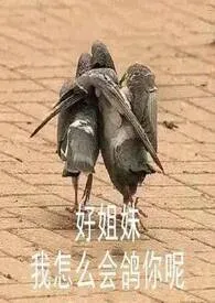 2024全新版本《修女今天也是被惦记着(np高h)》 猫酱的泥塑口嗨作品完结免费阅读