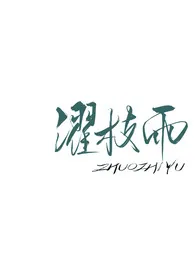 1970全新版本《濯枝雨(破镜重圆1v1)》 书姀作品完结免费阅读