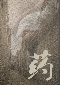 药 (民国 NPH)作者:像AI这幺复杂的事情 全本免费阅读