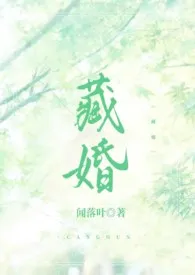 藏婚(先婚后爱H)作者:闻落叶 全本免费阅读