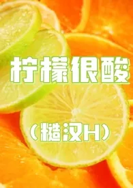 《柠檬很酸(糙汉H)》2024版小说全集 十九叔完本作品