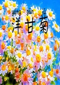 1970全新版本《洋甘菊》 April是四月作品完结免费阅读