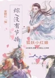 【综同人】没有节操作者:蜜糖红 全本免费阅读