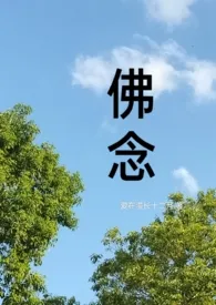 佛念(现代佛子1V1)小说完结版免费阅读(作者:爱在漫长十二月)
