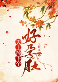 《天上掉下个好孕肚(慢穿)》小说在线阅读 五妖花作品