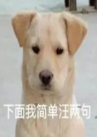 《请开穴交流(纯肉)》小说在线阅读 川乙作品