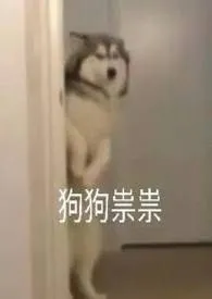 《你的重生我的重生好像不太一样?》小说在线阅读 咕咕勇者作品