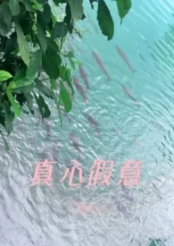 真心假意(现代1V1,高h)作者:梧桐木 全本免费阅读