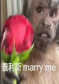 二点大头著作《自我沉沦(nph)》小说全文阅读