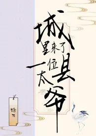 《城里来了一位县太爷》2024版小说全集 赊刀完本作品