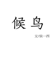 候鸟小说完结版免费阅读(作者:侯一西)