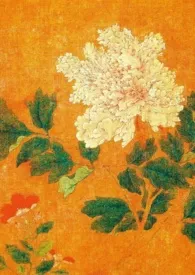 情姹(先婚后爱)小说完结版免费阅读(作者:。)
